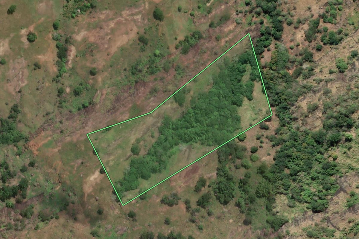 Imagem de satélite do imóvel rural em São Fidélis (RJ), com o contorno declarado no CAR desenhado por cima.