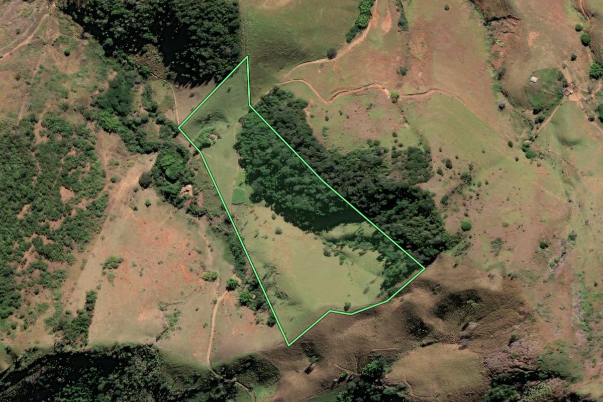 Imagem de satélite do imóvel rural em São Fidélis (RJ), com o contorno declarado no CAR desenhado por cima.