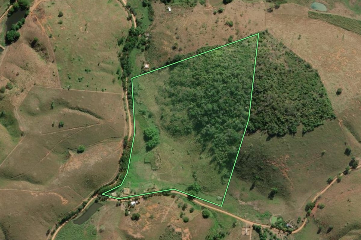 Imagem de satélite do imóvel rural em São Fidélis (RJ), com o contorno declarado no CAR desenhado por cima.