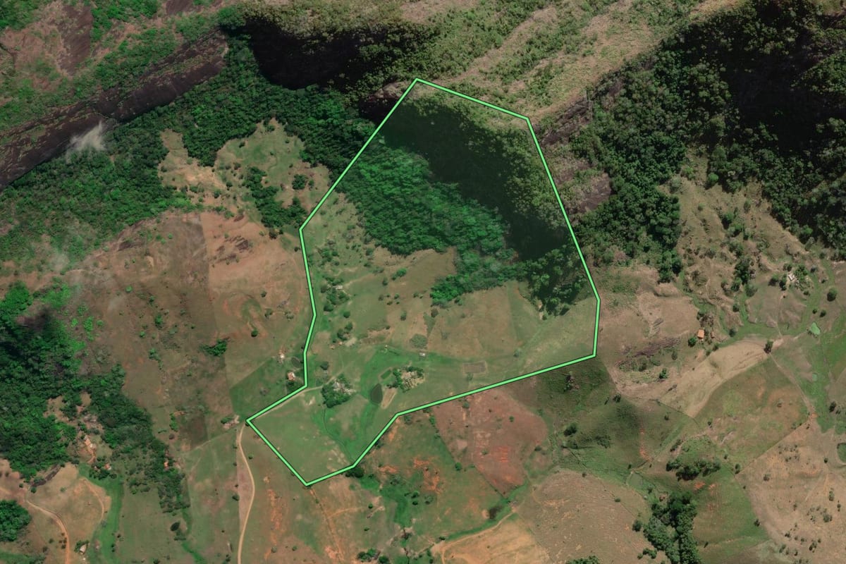 Imagem de satélite do imóvel rural em São Fidélis (RJ), com o contorno declarado no CAR desenhado por cima.
