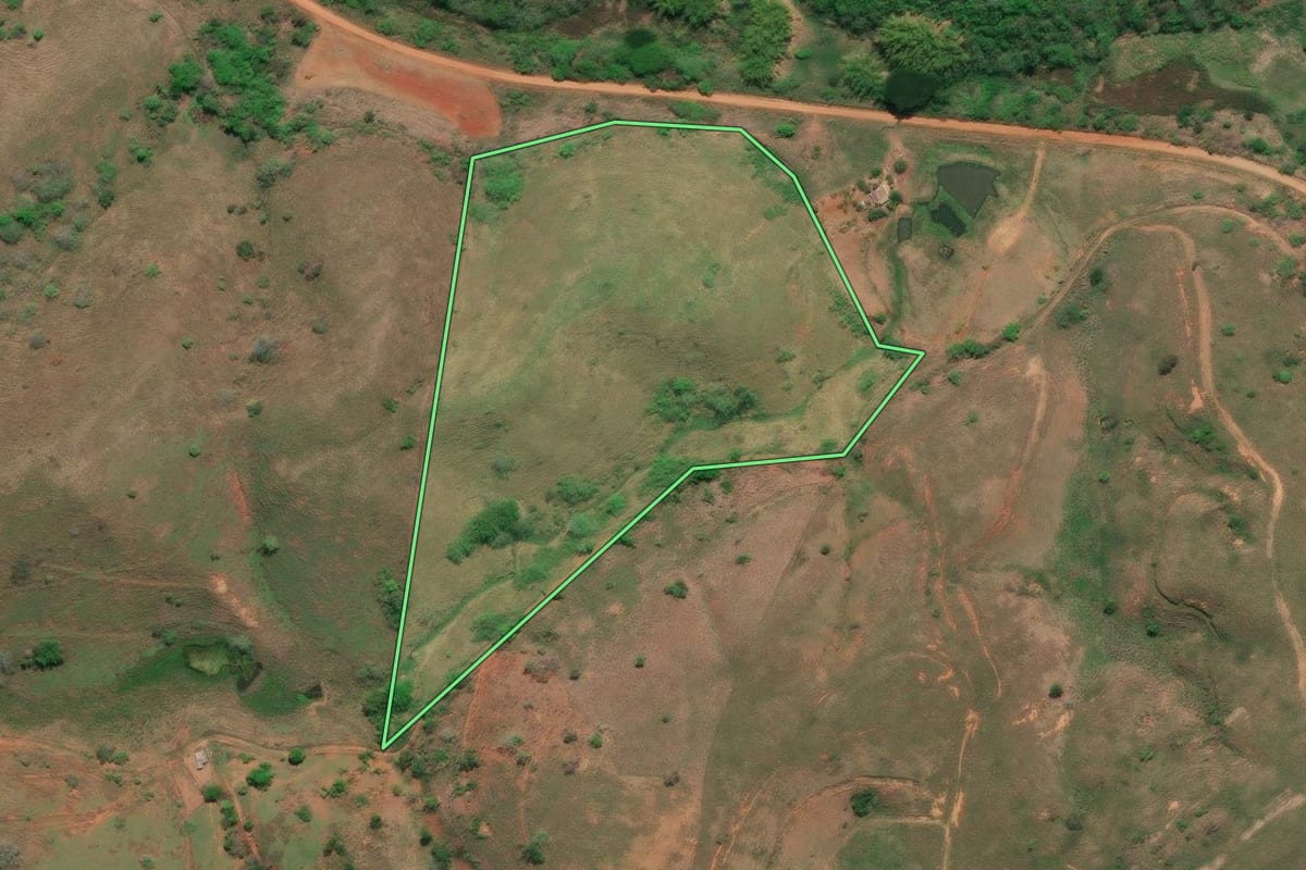 Imagem de satélite do imóvel rural em São Fidélis (RJ), com o contorno declarado no CAR desenhado por cima.