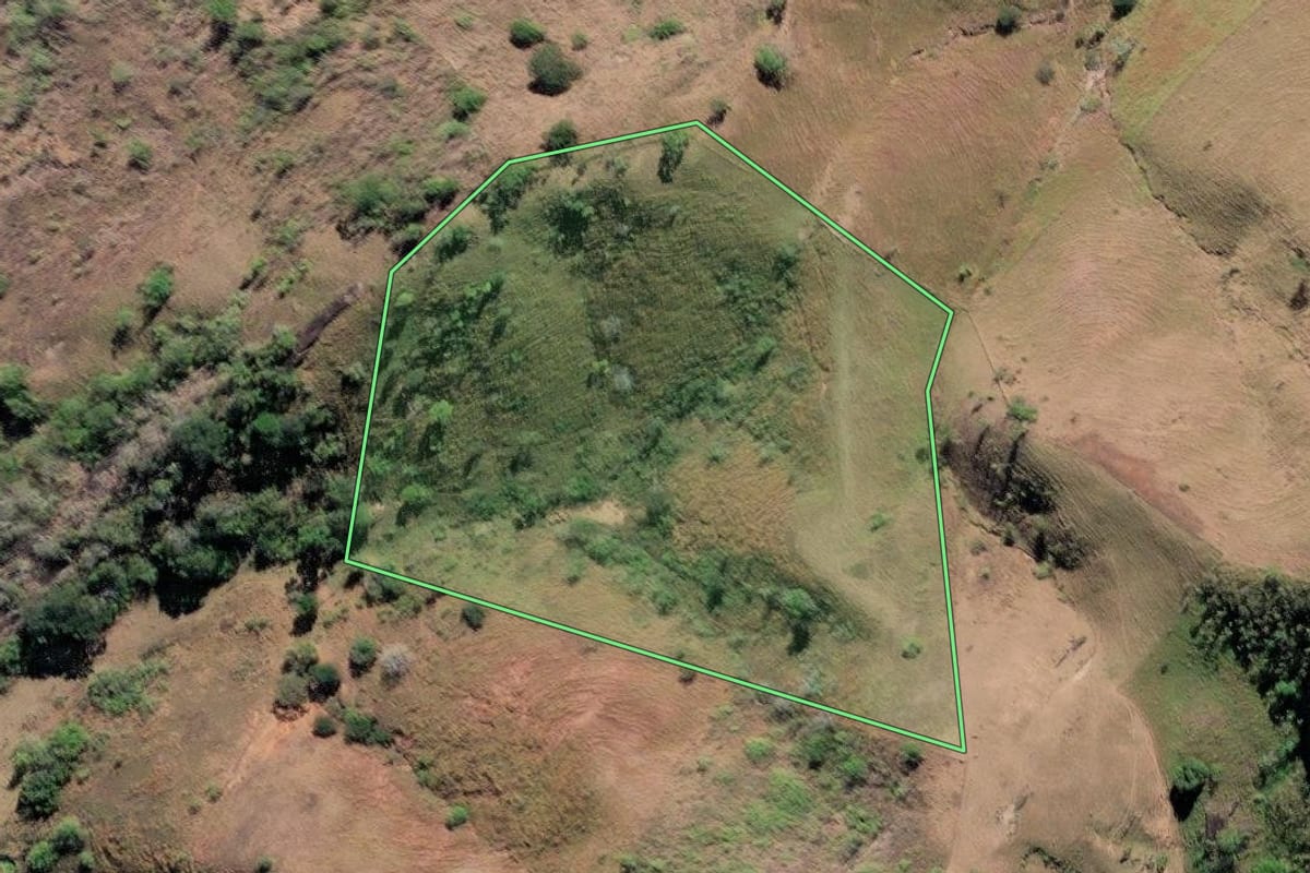 Imagem de satélite do imóvel rural em São Fidélis (RJ), com o contorno declarado no CAR desenhado por cima.