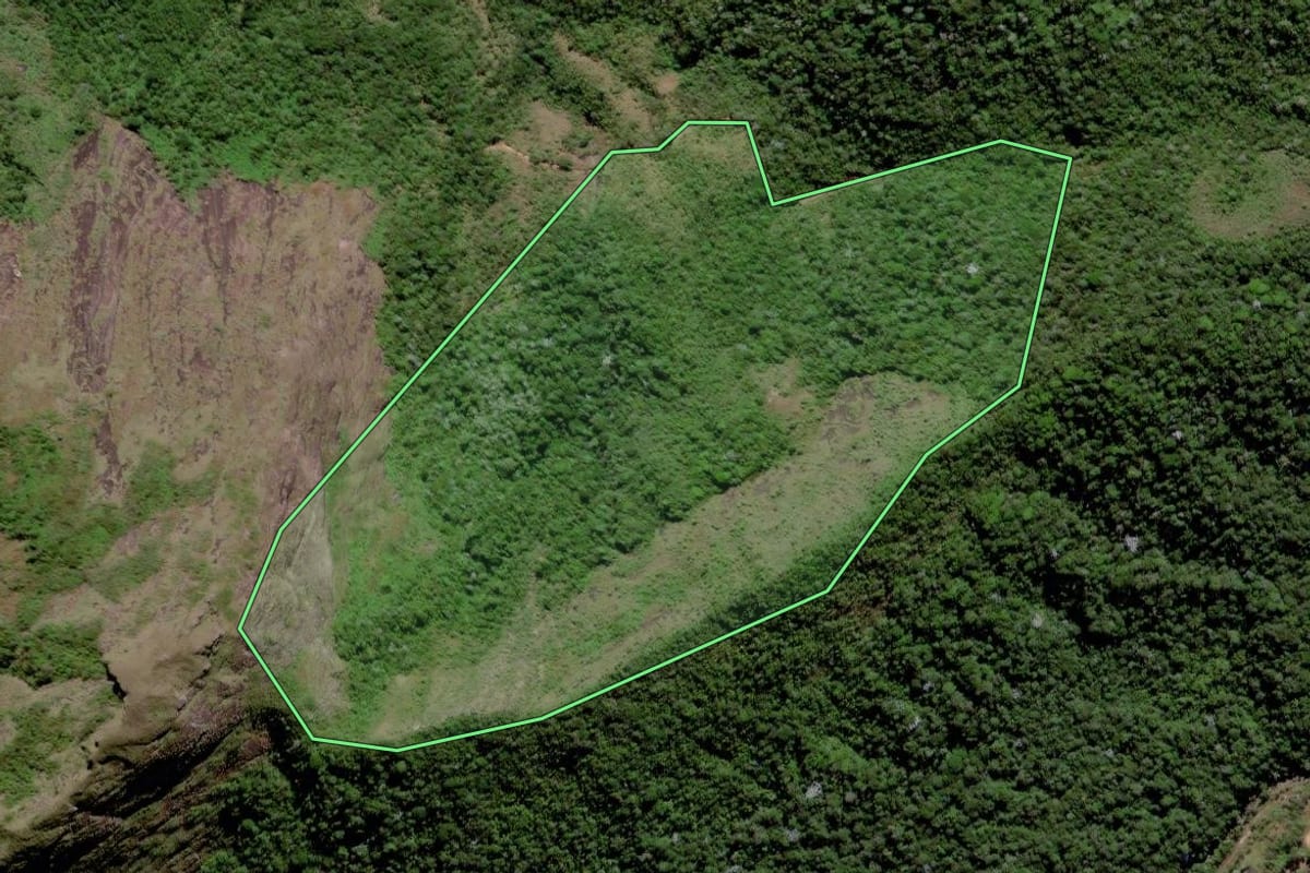 Imagem de satélite do imóvel rural em São Fidélis (RJ), com o contorno declarado no CAR desenhado por cima.