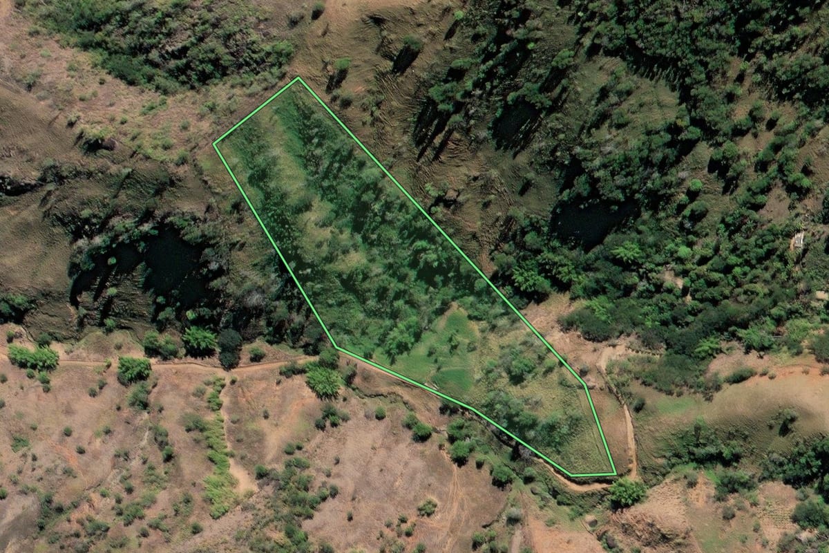Imagem de satélite do imóvel rural em São Fidélis (RJ), com o contorno declarado no CAR desenhado por cima.