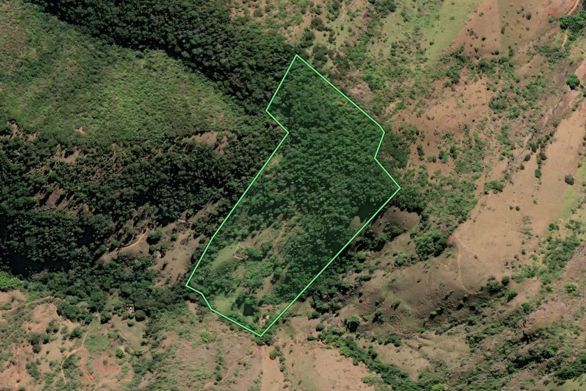 Imagem de satélite do imóvel rural em São Fidélis (RJ), com o contorno declarado no CAR desenhado por cima.