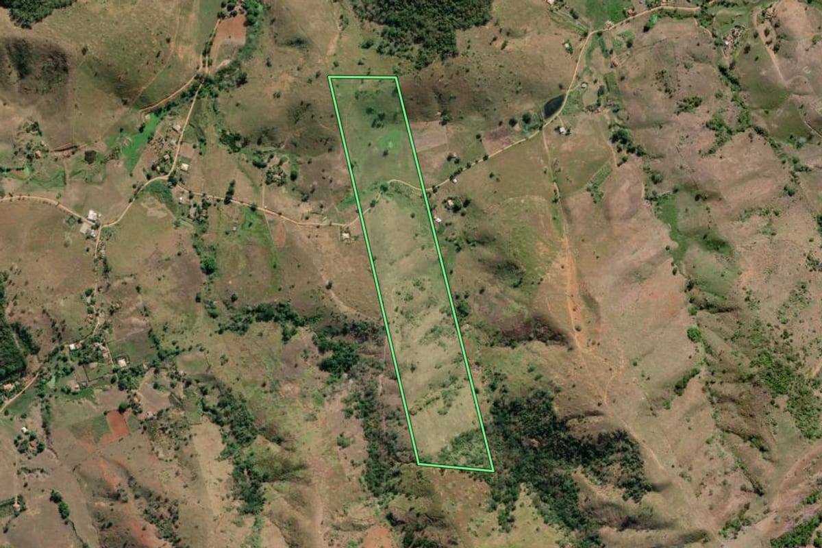 Imagem de satélite do imóvel rural em São Fidélis (RJ), com o contorno declarado no CAR desenhado por cima.