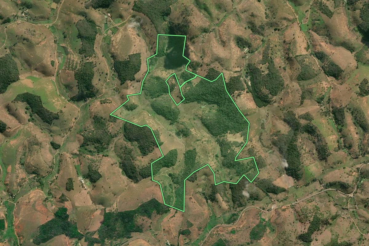 Imagem de satélite do imóvel rural em São Fidélis (RJ), com o contorno declarado no CAR desenhado por cima.