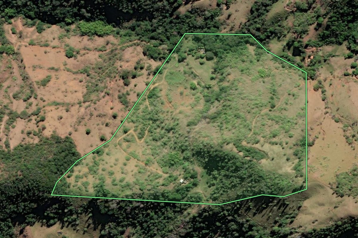 Imagem de satélite do imóvel rural em São Fidélis (RJ), com o contorno declarado no CAR desenhado por cima.