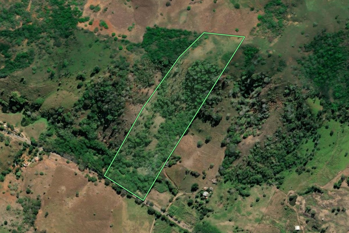 Imagem de satélite do imóvel rural em São Fidélis (RJ), com o contorno declarado no CAR desenhado por cima.