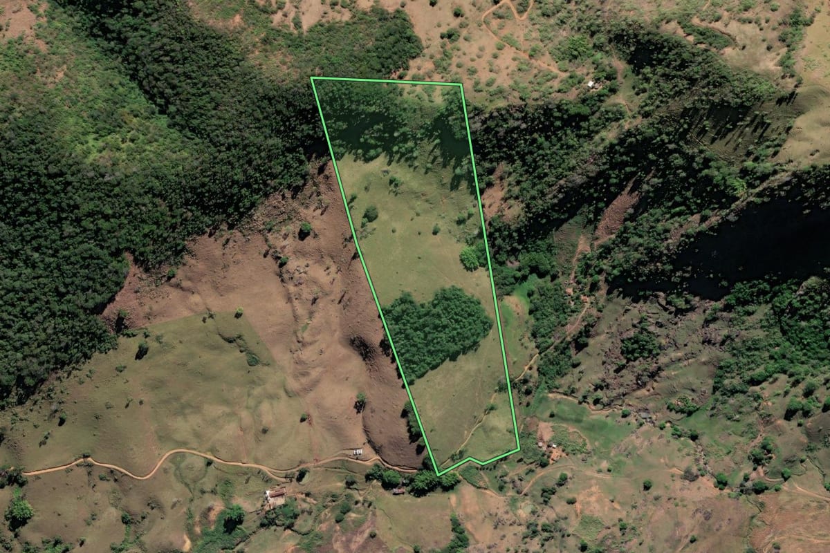 Imagem de satélite do imóvel rural em São Fidélis (RJ), com o contorno declarado no CAR desenhado por cima.