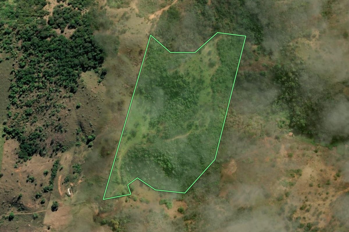 Imagem de satélite do imóvel rural em São Fidélis (RJ), com o contorno declarado no CAR desenhado por cima.
