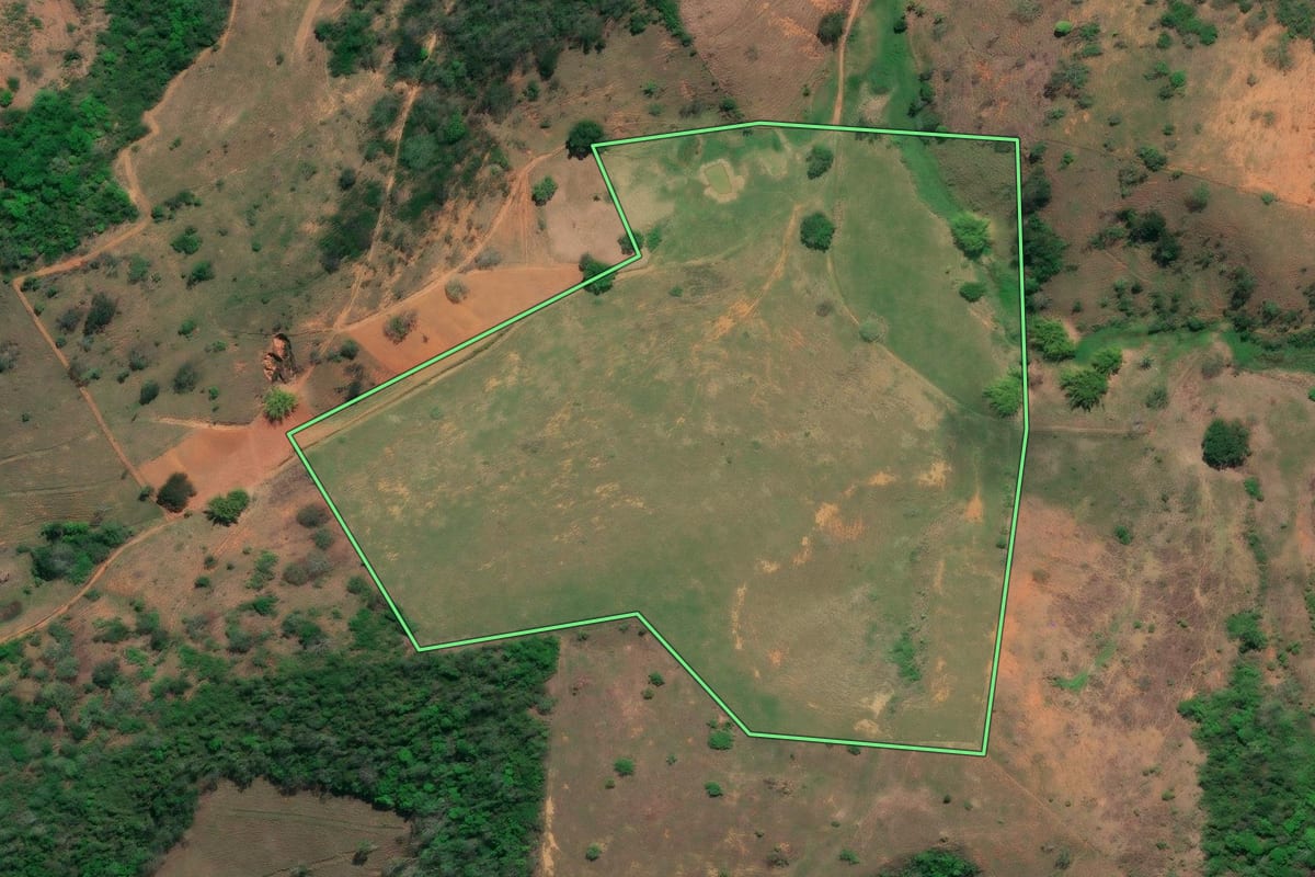 Imagem de satélite do imóvel rural em São Fidélis (RJ), com o contorno declarado no CAR desenhado por cima.