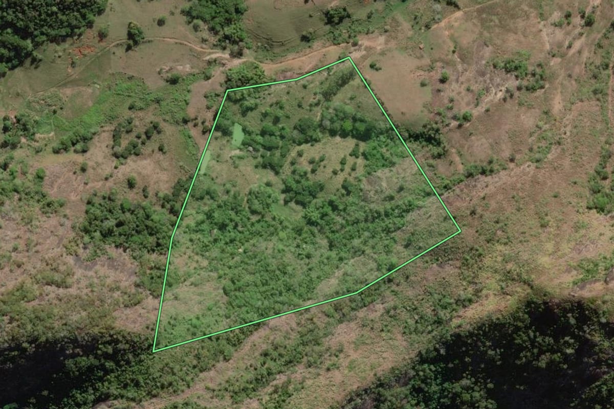 Imagem de satélite do imóvel rural em São Fidélis (RJ), com o contorno declarado no CAR desenhado por cima.