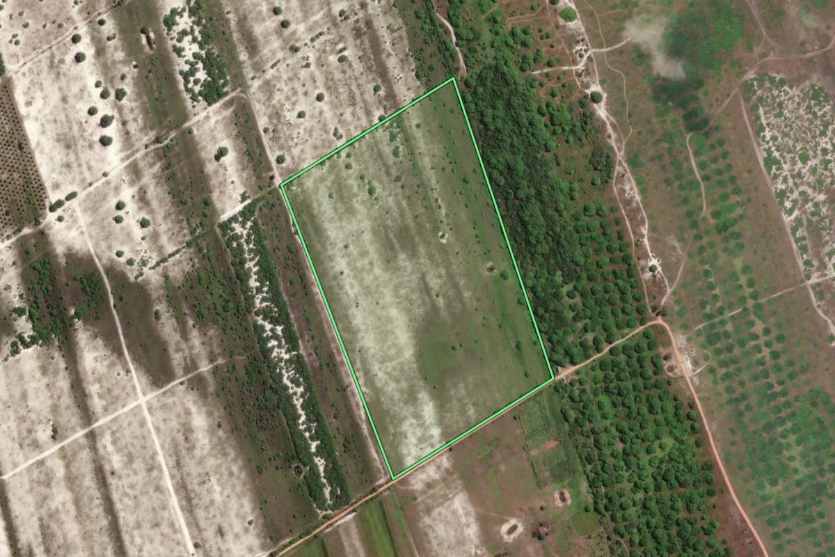 Imagem de satélite do imóvel rural em São João da Barra (RJ), com o contorno declarado no CAR desenhado por cima.