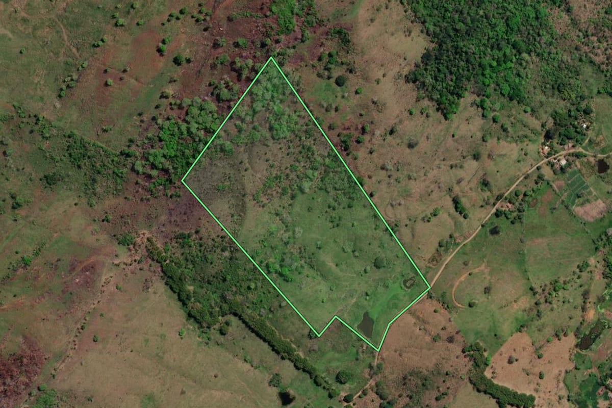 Imagem de satélite do imóvel rural em São José de Ubá (RJ), com o contorno declarado no CAR desenhado por cima.
