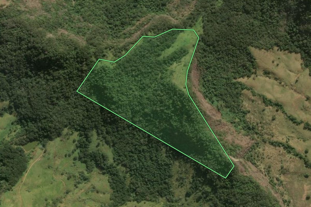 Imagem de satélite do imóvel rural em São José de Ubá (RJ), com o contorno declarado no CAR desenhado por cima.