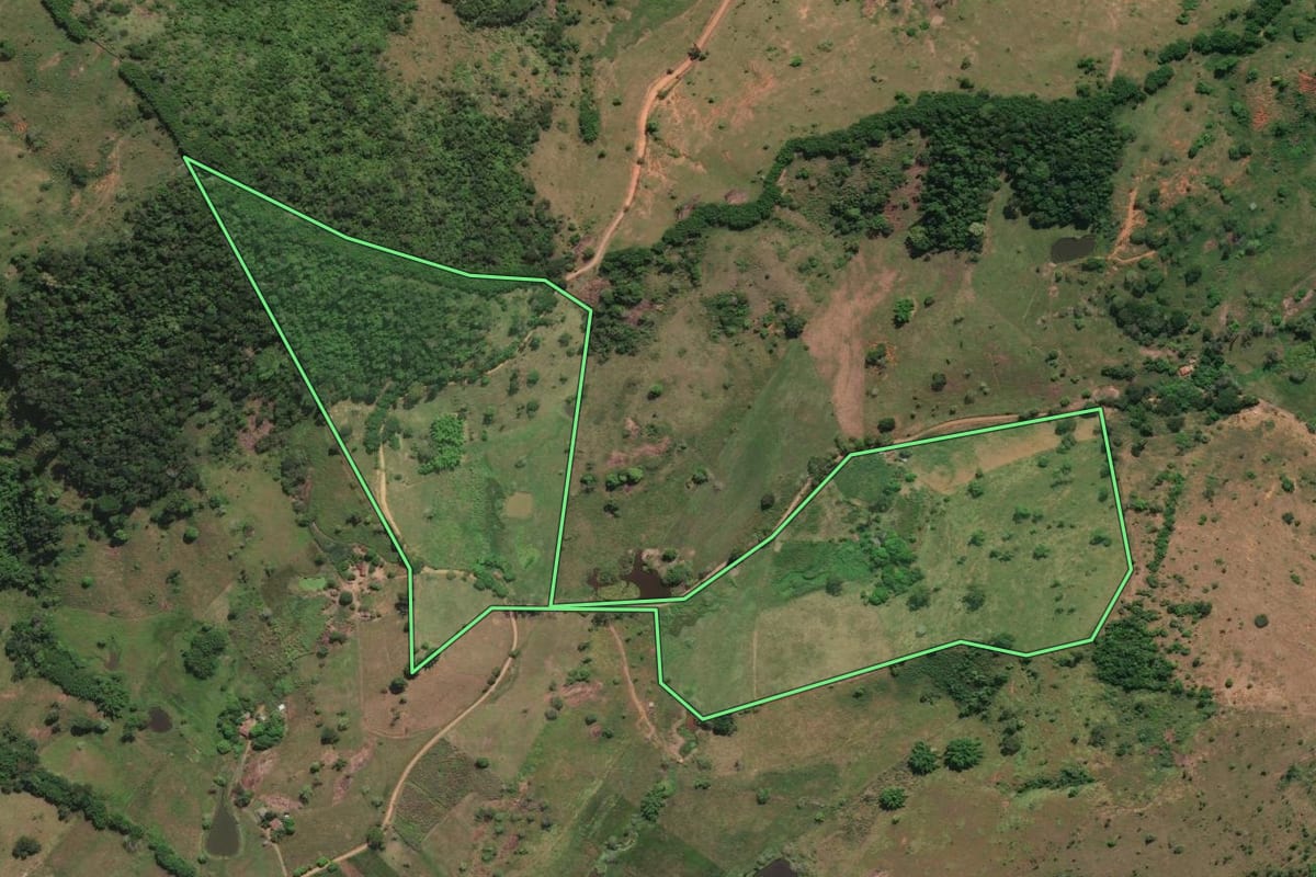 Imagem de satélite do imóvel rural em São José de Ubá (RJ), com o contorno declarado no CAR desenhado por cima.