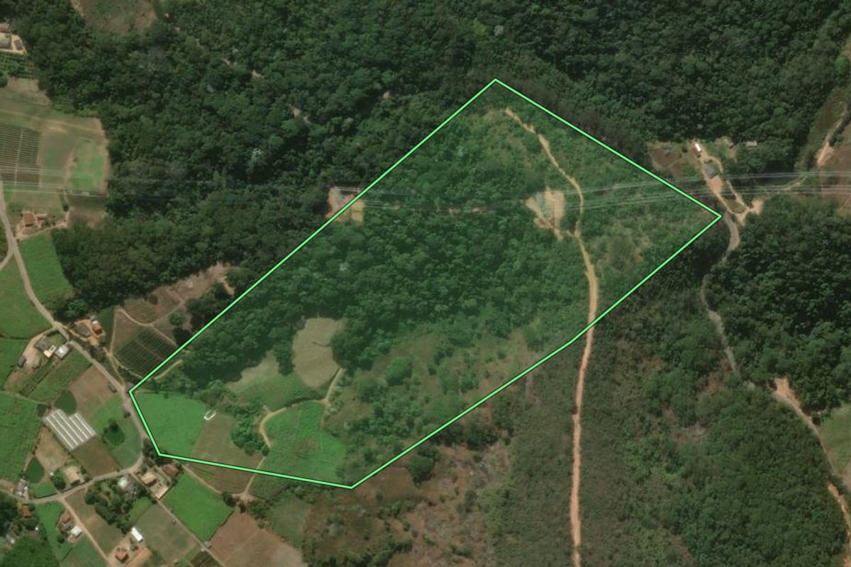 Imagem de satélite do imóvel rural em São José do Vale do Rio Preto (RJ), com o contorno declarado no CAR desenhado por cima.
