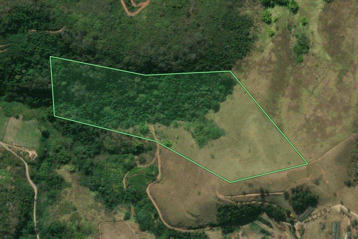 Imagem de satélite do imóvel rural em São José do Vale do Rio Preto (RJ), com o contorno declarado no CAR desenhado por cima.