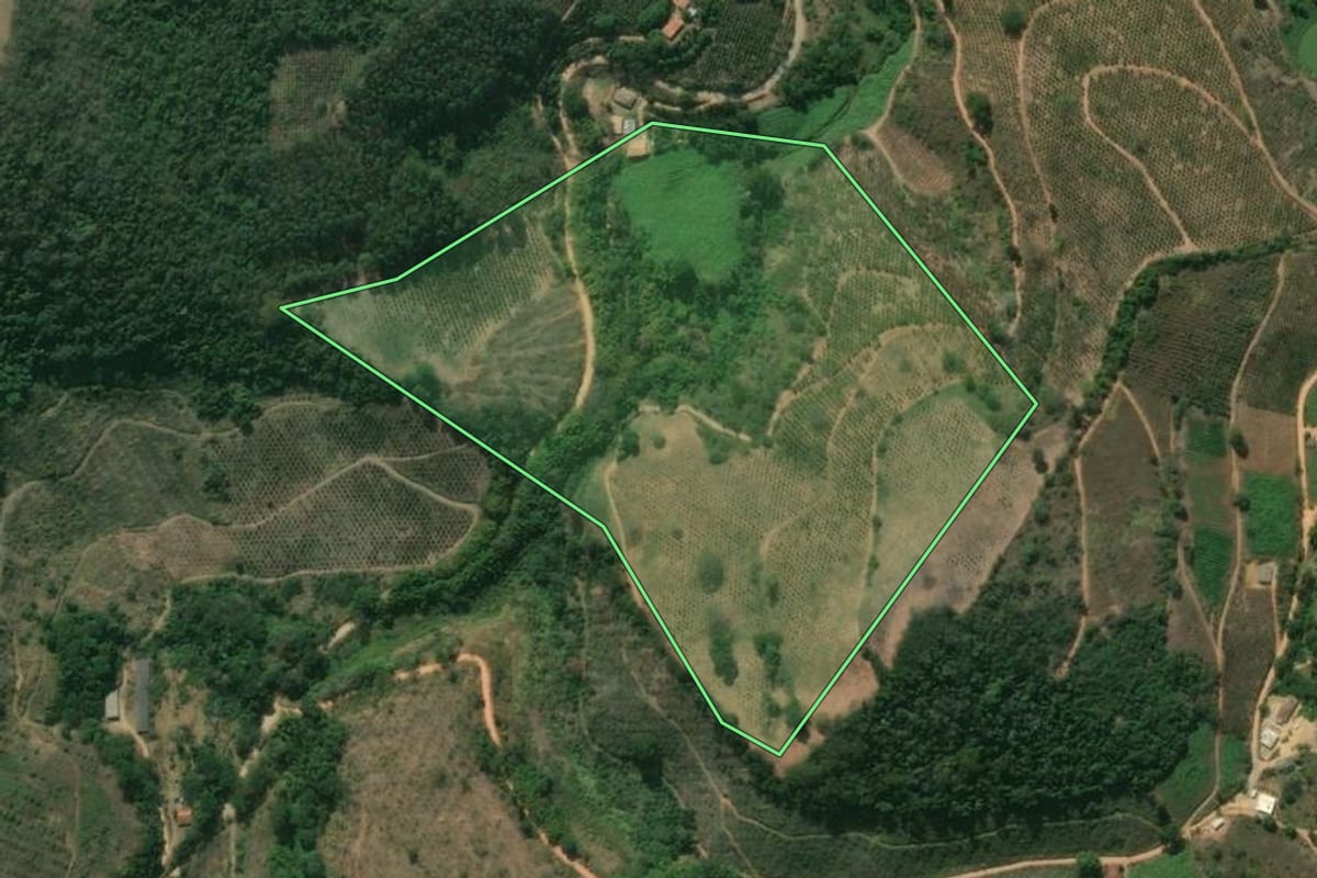 Imagem de satélite do imóvel rural em São José do Vale do Rio Preto (RJ), com o contorno declarado no CAR desenhado por cima.