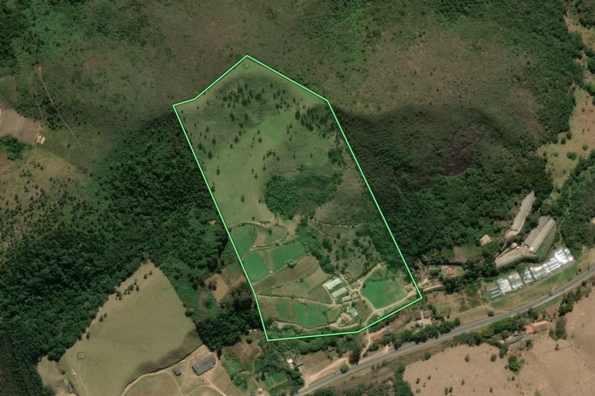 Imagem de satélite do imóvel rural em São José do Vale do Rio Preto (RJ), com o contorno declarado no CAR desenhado por cima.