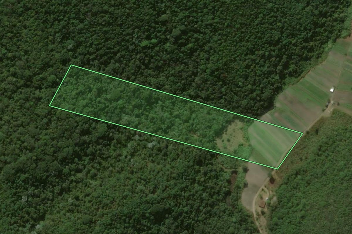 Imagem de satélite do imóvel rural em São José do Vale do Rio Preto (RJ), com o contorno declarado no CAR desenhado por cima.