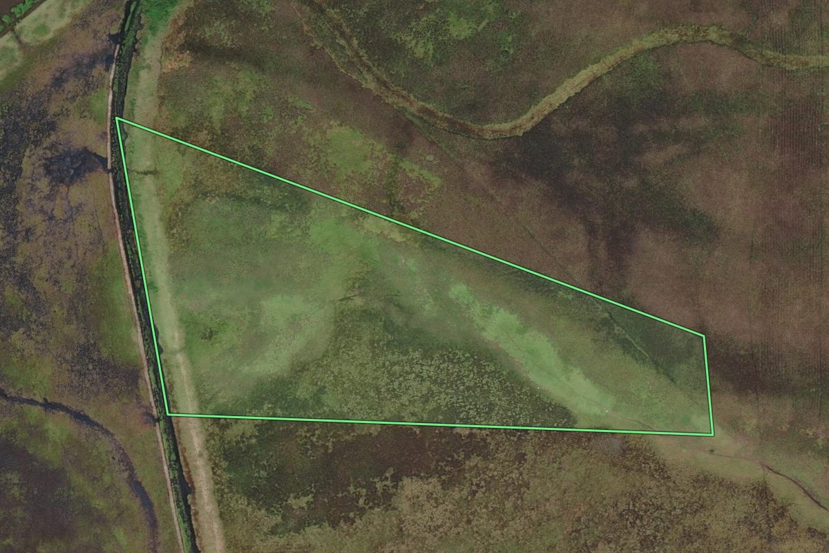 Imagem de satélite do imóvel rural em São Pedro da Aldeia (RJ), com o contorno declarado no CAR desenhado por cima.