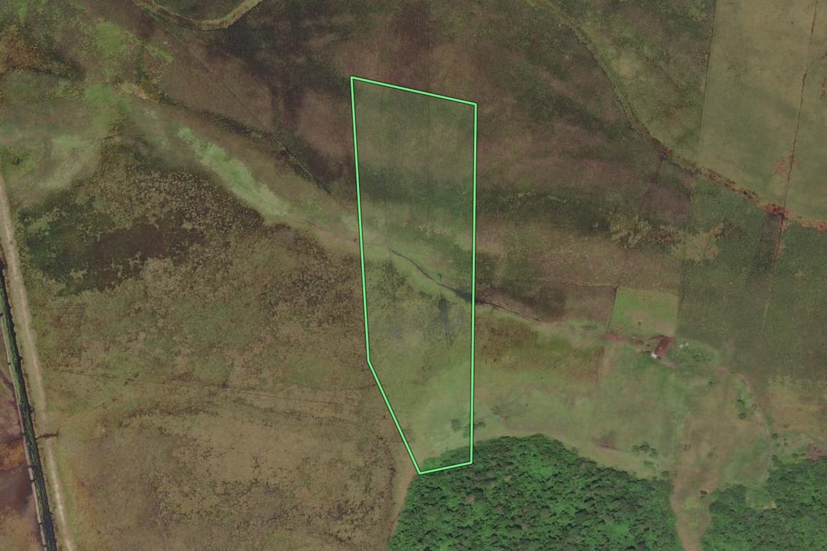 Imagem de satélite do imóvel rural em São Pedro da Aldeia (RJ), com o contorno declarado no CAR desenhado por cima.