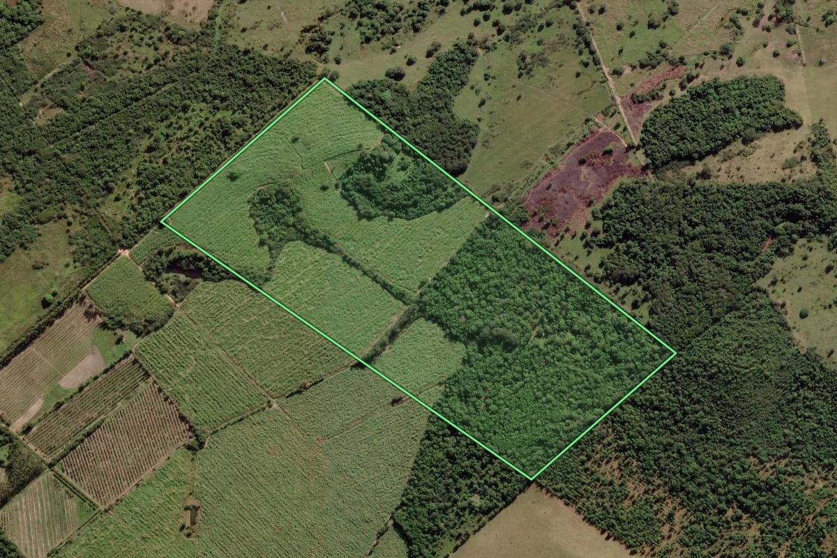 Imagem de satélite do imóvel rural em São Pedro da Aldeia (RJ), com o contorno declarado no CAR desenhado por cima.