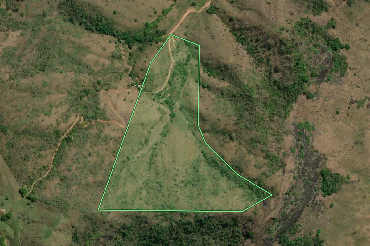 Imagem de satélite do imóvel rural em São Sebastião do Alto (RJ), com o contorno declarado no CAR desenhado por cima.