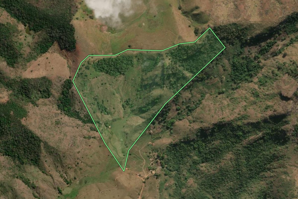 Imagem de satélite do imóvel rural em São Sebastião do Alto (RJ), com o contorno declarado no CAR desenhado por cima.