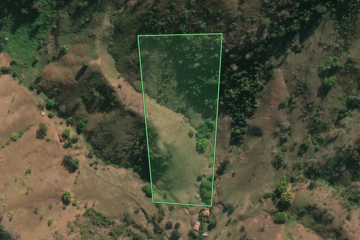Imagem de satélite do imóvel rural em São Sebastião do Alto (RJ), com o contorno declarado no CAR desenhado por cima.
