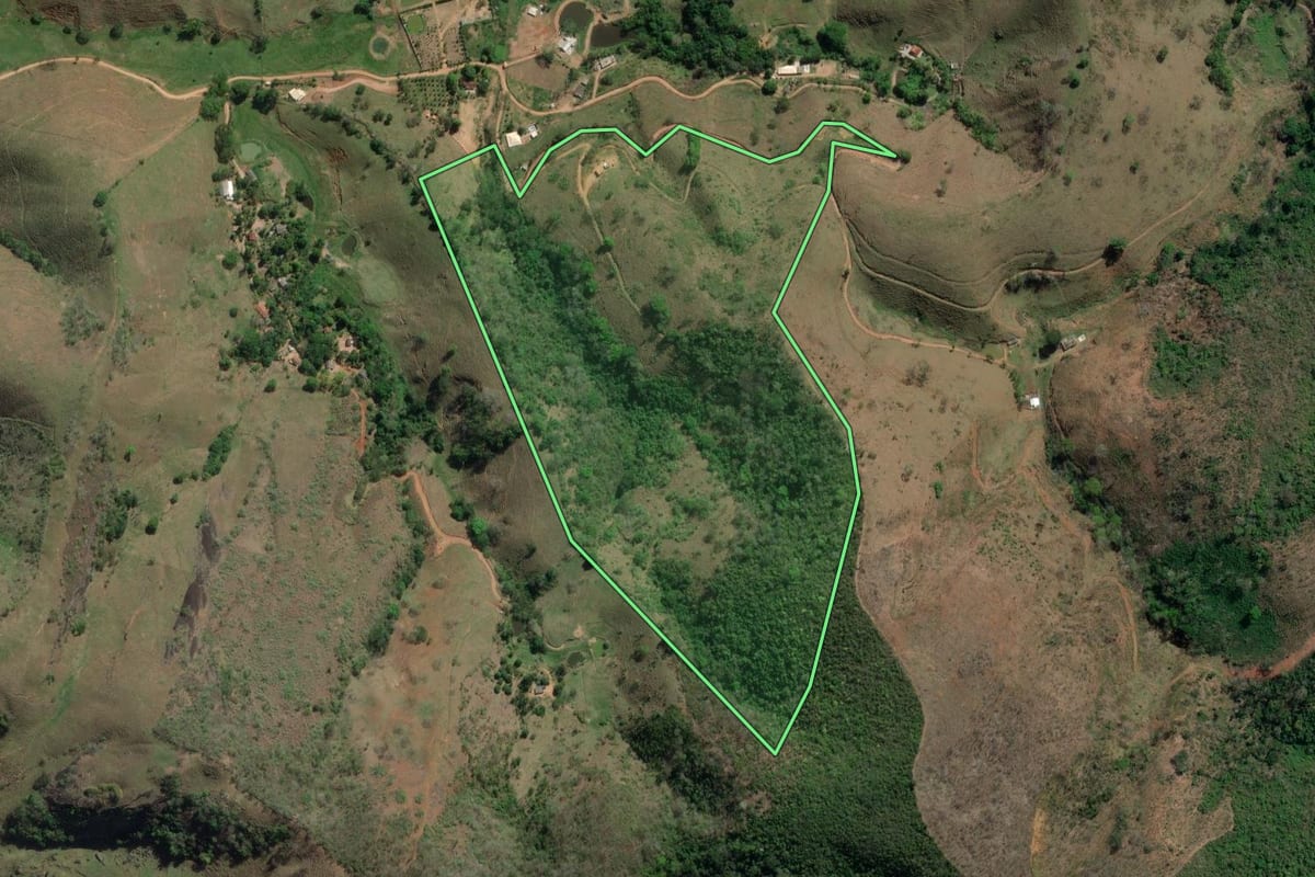 Imagem de satélite do imóvel rural em São Sebastião do Alto (RJ), com o contorno declarado no CAR desenhado por cima.