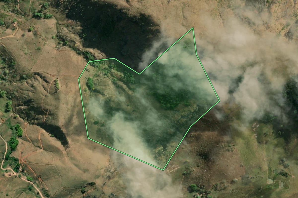 Imagem de satélite do imóvel rural em Sapucaia (RJ), com o contorno declarado no CAR desenhado por cima.