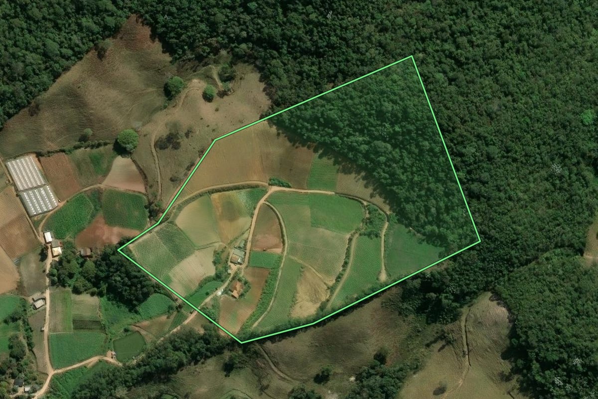 Imagem de satélite do imóvel rural em Sapucaia (RJ), com o contorno declarado no CAR desenhado por cima.