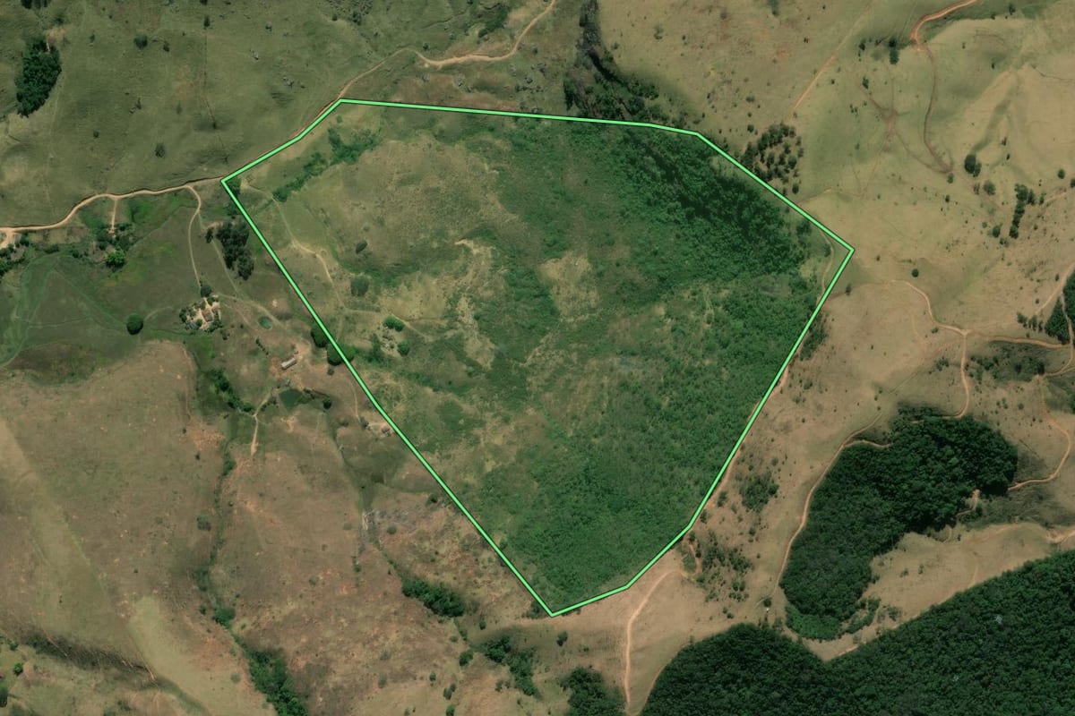 Imagem de satélite do imóvel rural em Sapucaia (RJ), com o contorno declarado no CAR desenhado por cima.