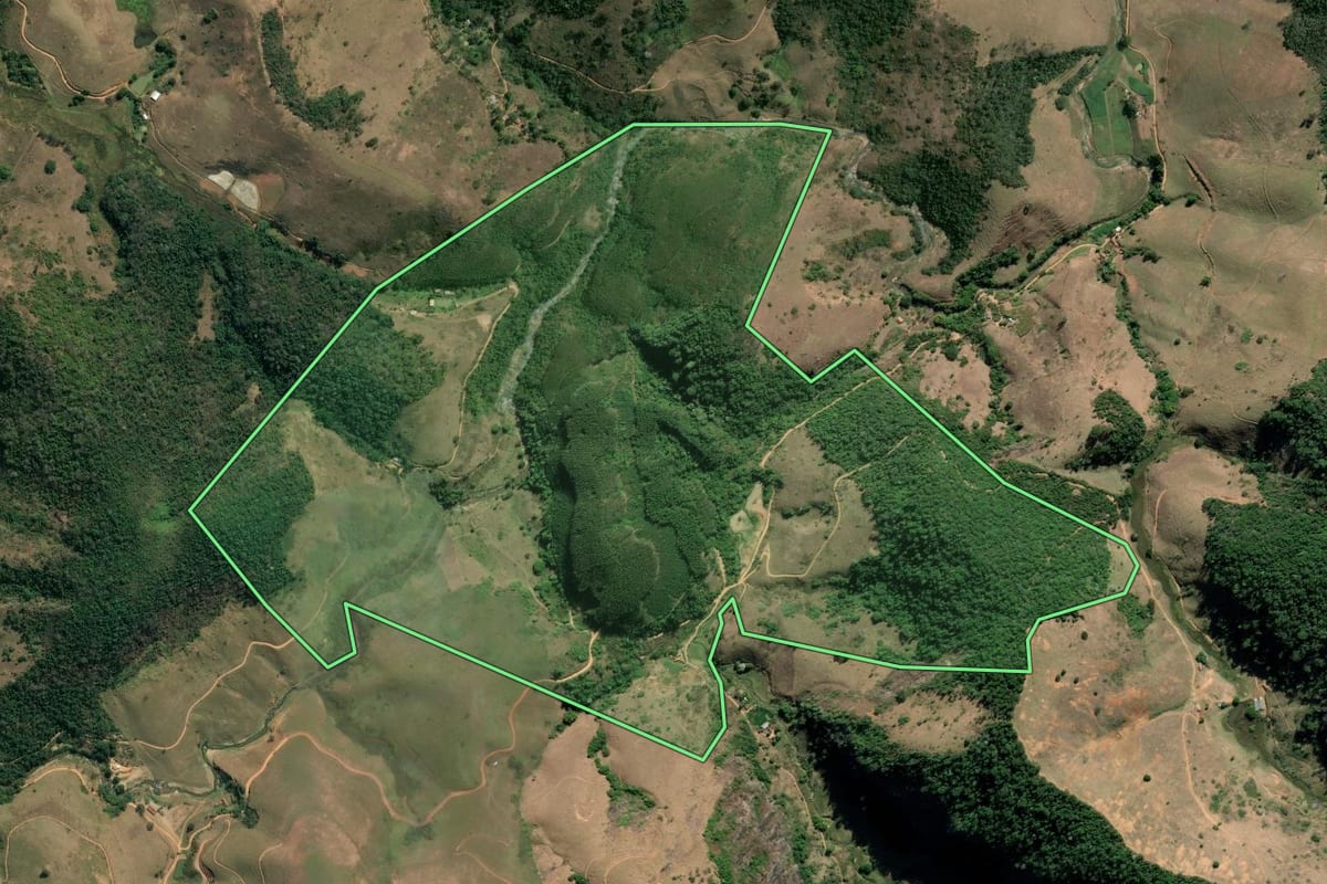 Imagem de satélite do imóvel rural em Sapucaia (RJ), com o contorno declarado no CAR desenhado por cima.