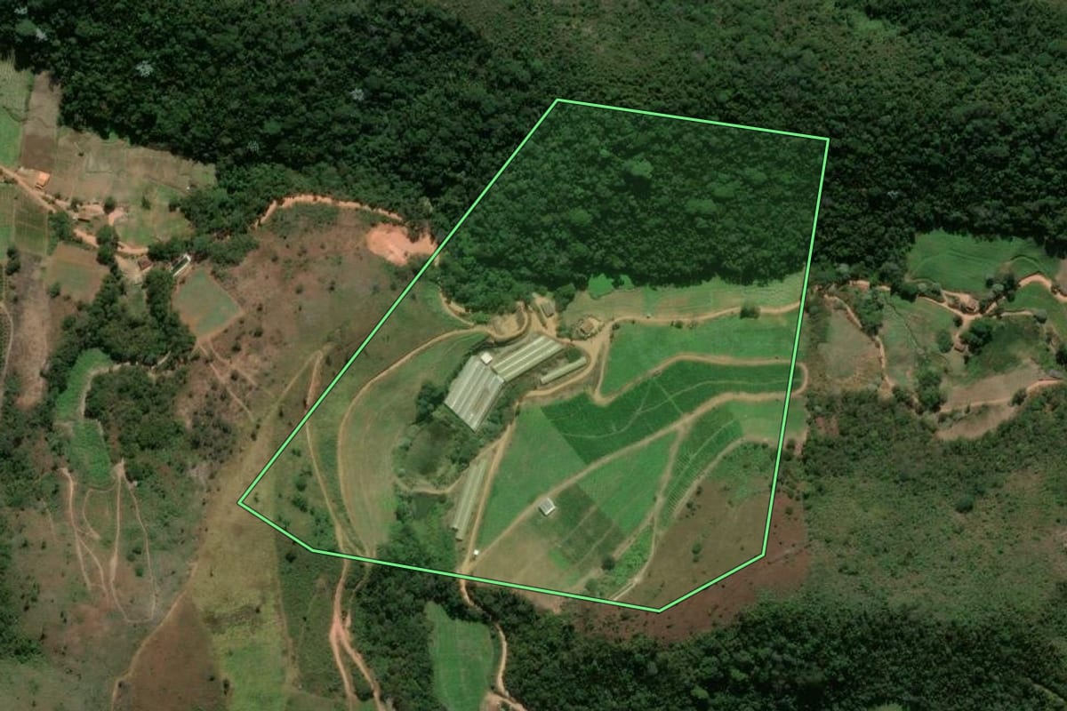 Imagem de satélite do imóvel rural em Sapucaia (RJ), com o contorno declarado no CAR desenhado por cima.