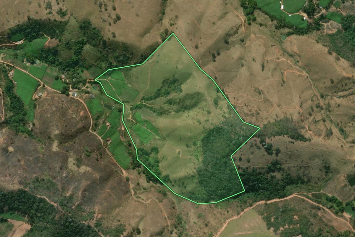 Imagem de satélite do imóvel rural em Sapucaia (RJ), com o contorno declarado no CAR desenhado por cima.