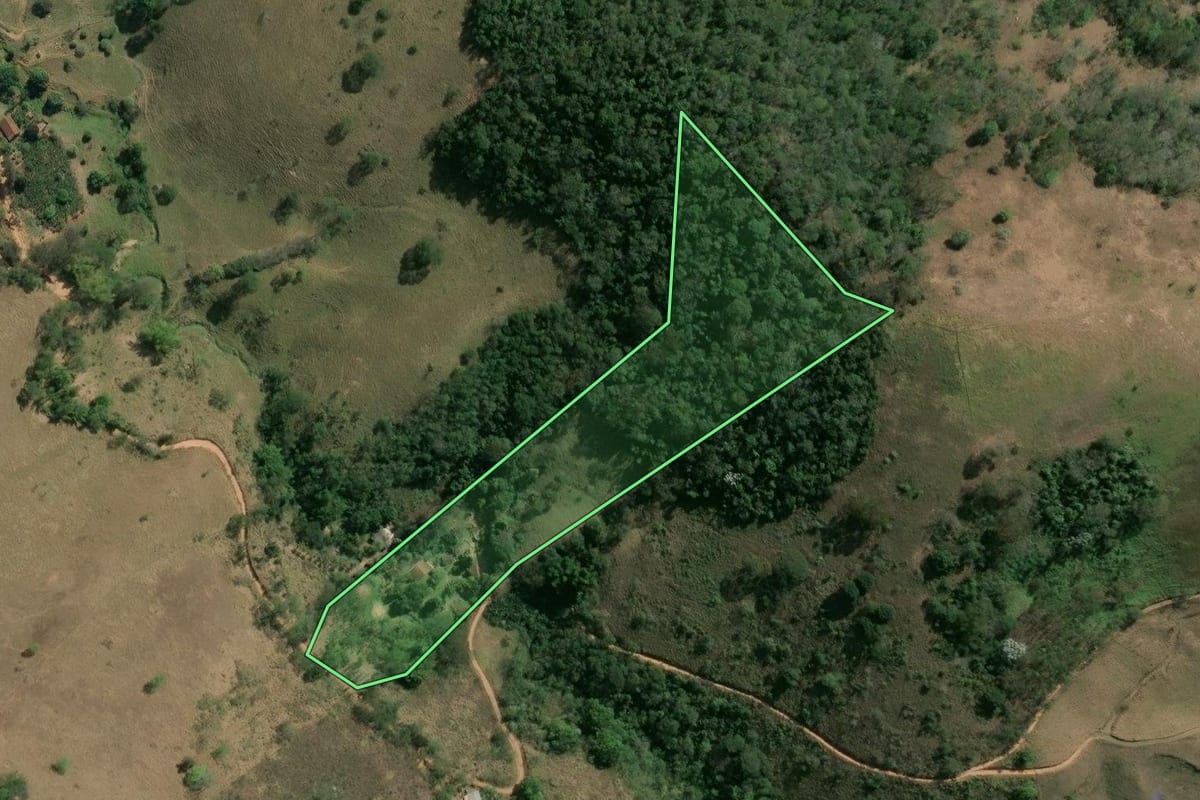 Imagem de satélite do imóvel rural em Sapucaia (RJ), com o contorno declarado no CAR desenhado por cima.