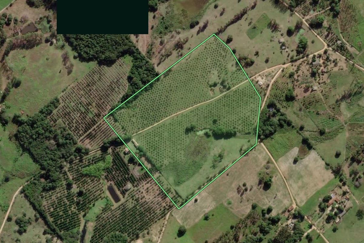 Imagem de satélite do imóvel rural em Saquarema (RJ), com o contorno declarado no CAR desenhado por cima.
