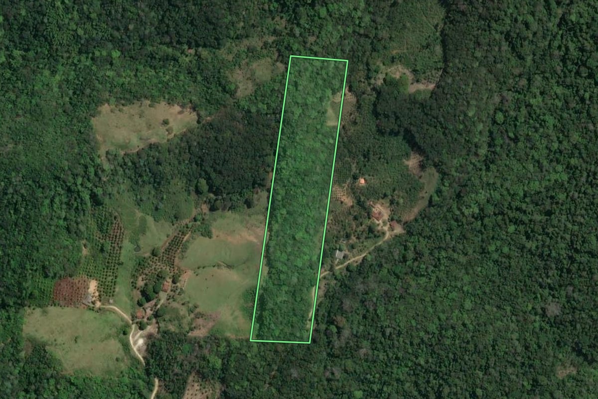 Imagem de satélite do imóvel rural em Saquarema (RJ), com o contorno declarado no CAR desenhado por cima.