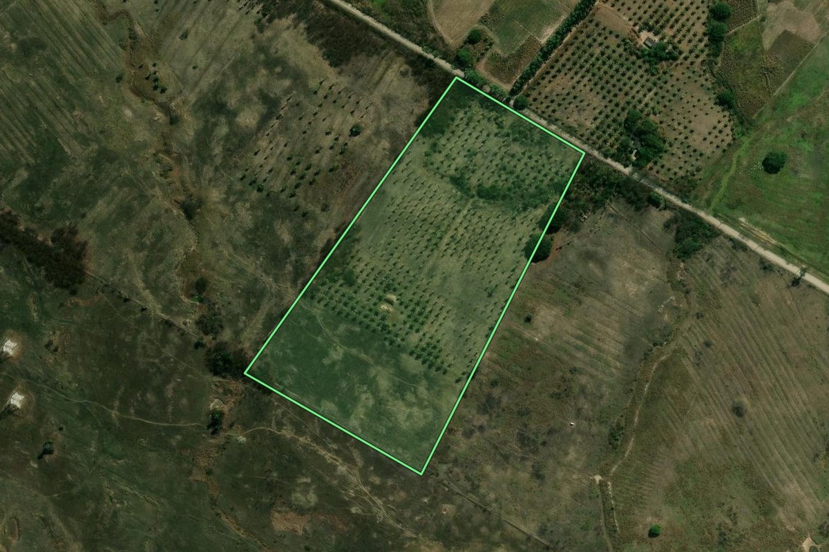Imagem de satélite do imóvel rural em Seropédica (RJ), com o contorno declarado no CAR desenhado por cima.