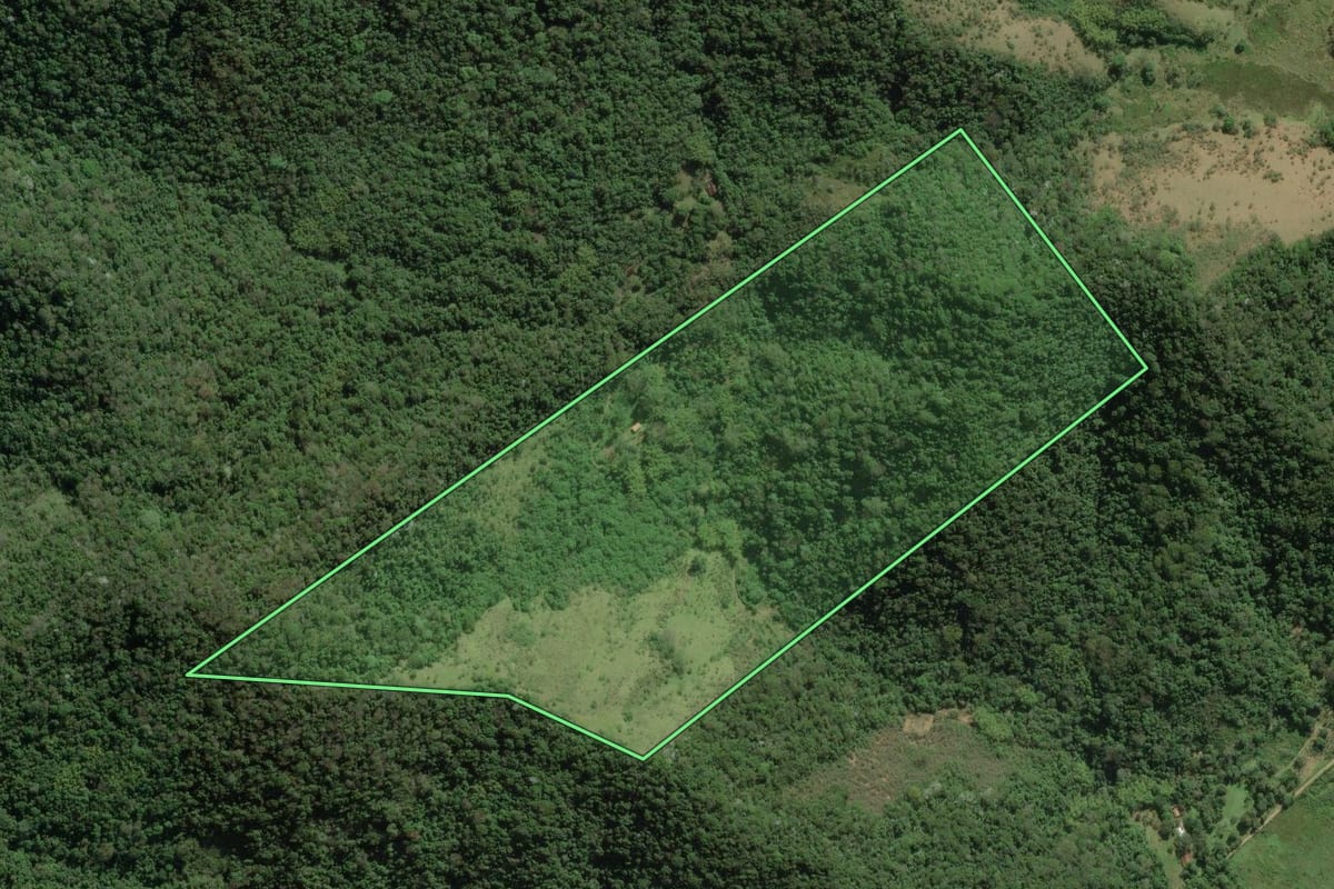 Imagem de satélite do imóvel rural em Silva Jardim (RJ), com o contorno declarado no CAR desenhado por cima.