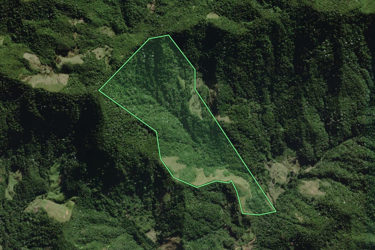 Imagem de satélite do imóvel rural em Silva Jardim (RJ), com o contorno declarado no CAR desenhado por cima.