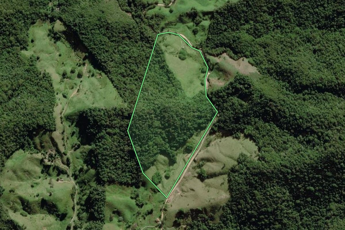 Imagem de satélite do imóvel rural em Silva Jardim (RJ), com o contorno declarado no CAR desenhado por cima.