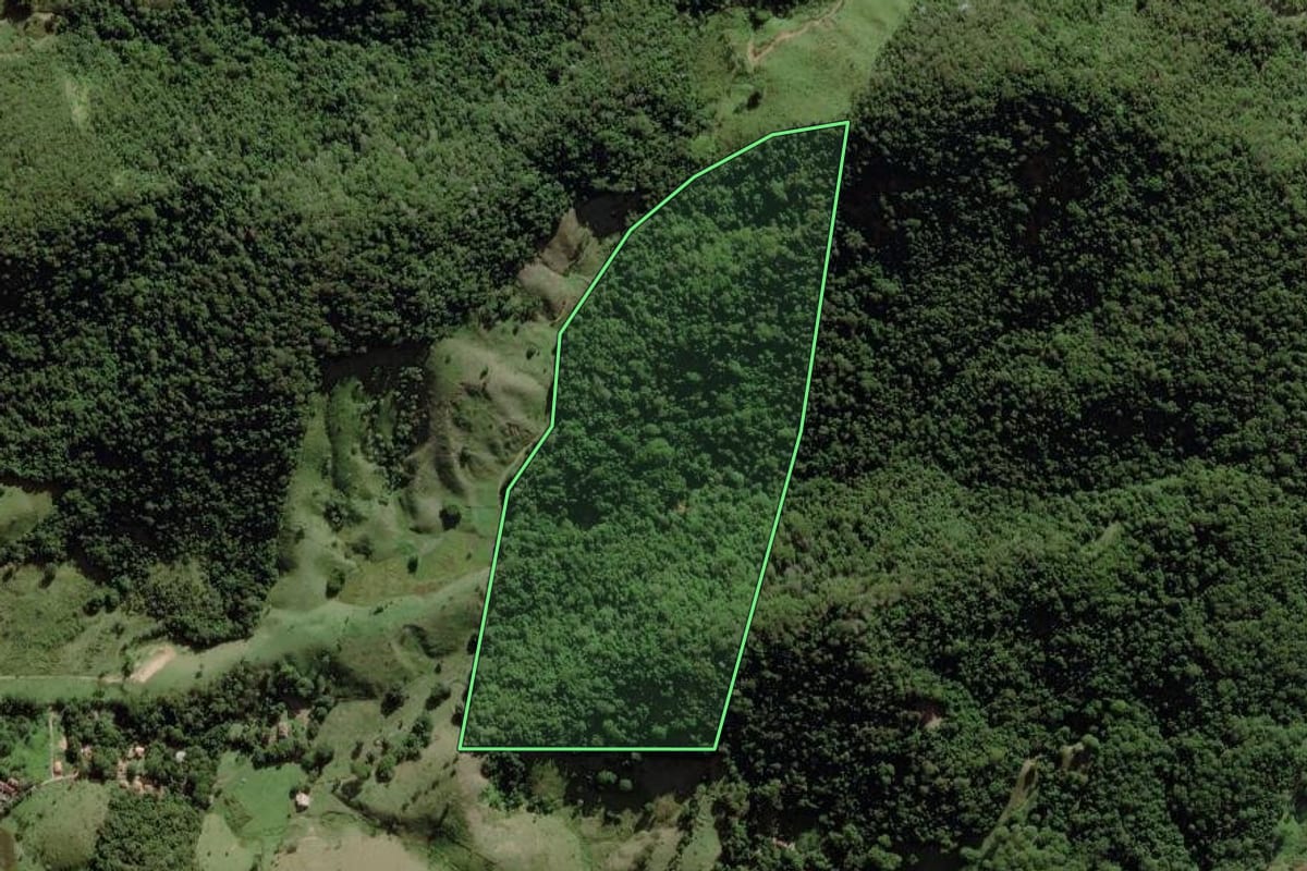 Imagem de satélite do imóvel rural em Silva Jardim (RJ), com o contorno declarado no CAR desenhado por cima.