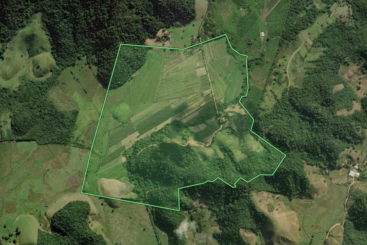 Imagem de satélite do imóvel rural em Silva Jardim (RJ), com o contorno declarado no CAR desenhado por cima.