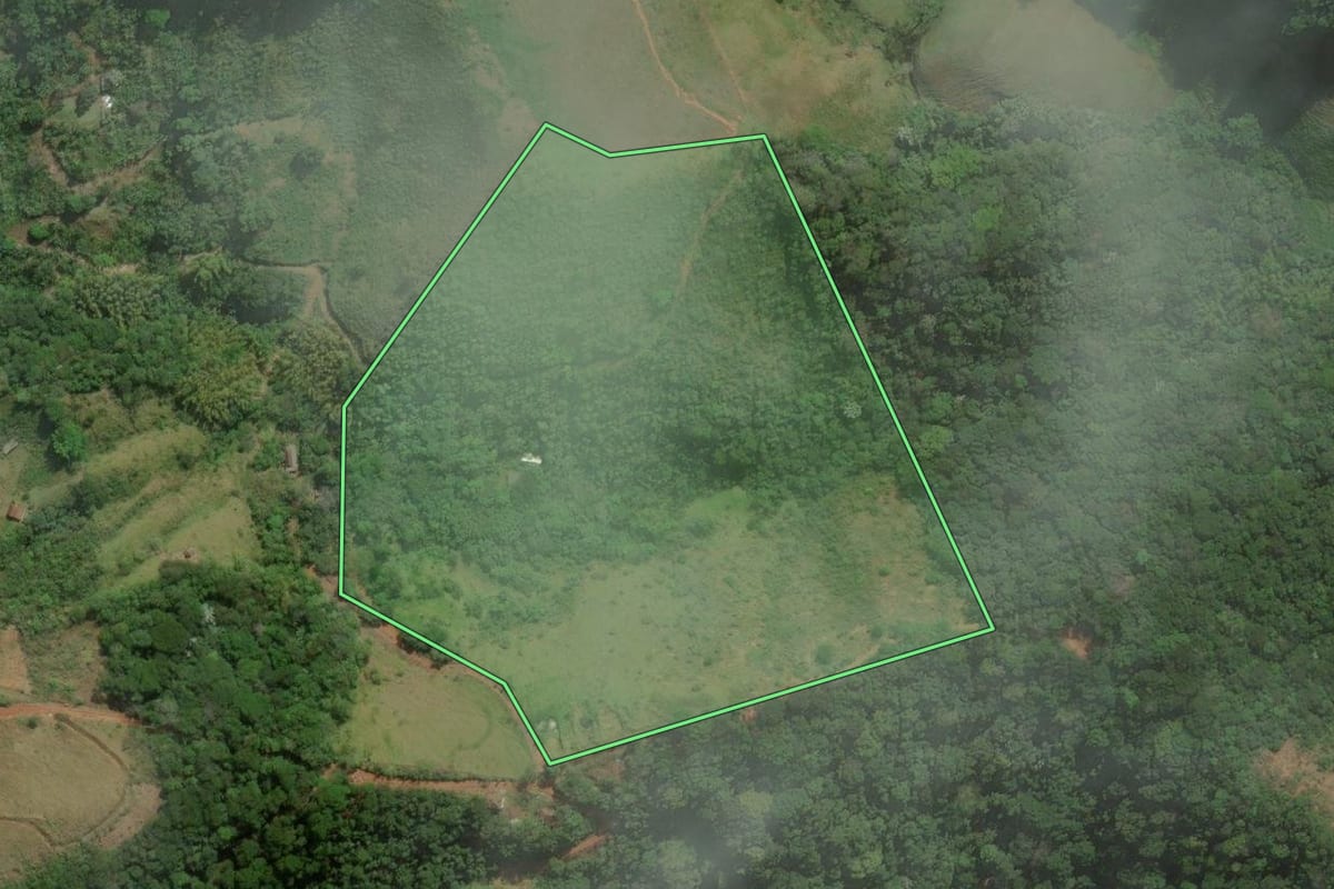 Imagem de satélite do imóvel rural em Silva Jardim (RJ), com o contorno declarado no CAR desenhado por cima.