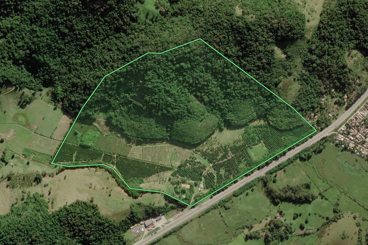 Imagem de satélite do imóvel rural em Silva Jardim (RJ), com o contorno declarado no CAR desenhado por cima.